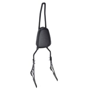 Samger Motorrad Sissy Bar Hinten Abnehmbare Rückenlehne Fit für Harley Davidson Sportster XL 883 1200 04-20