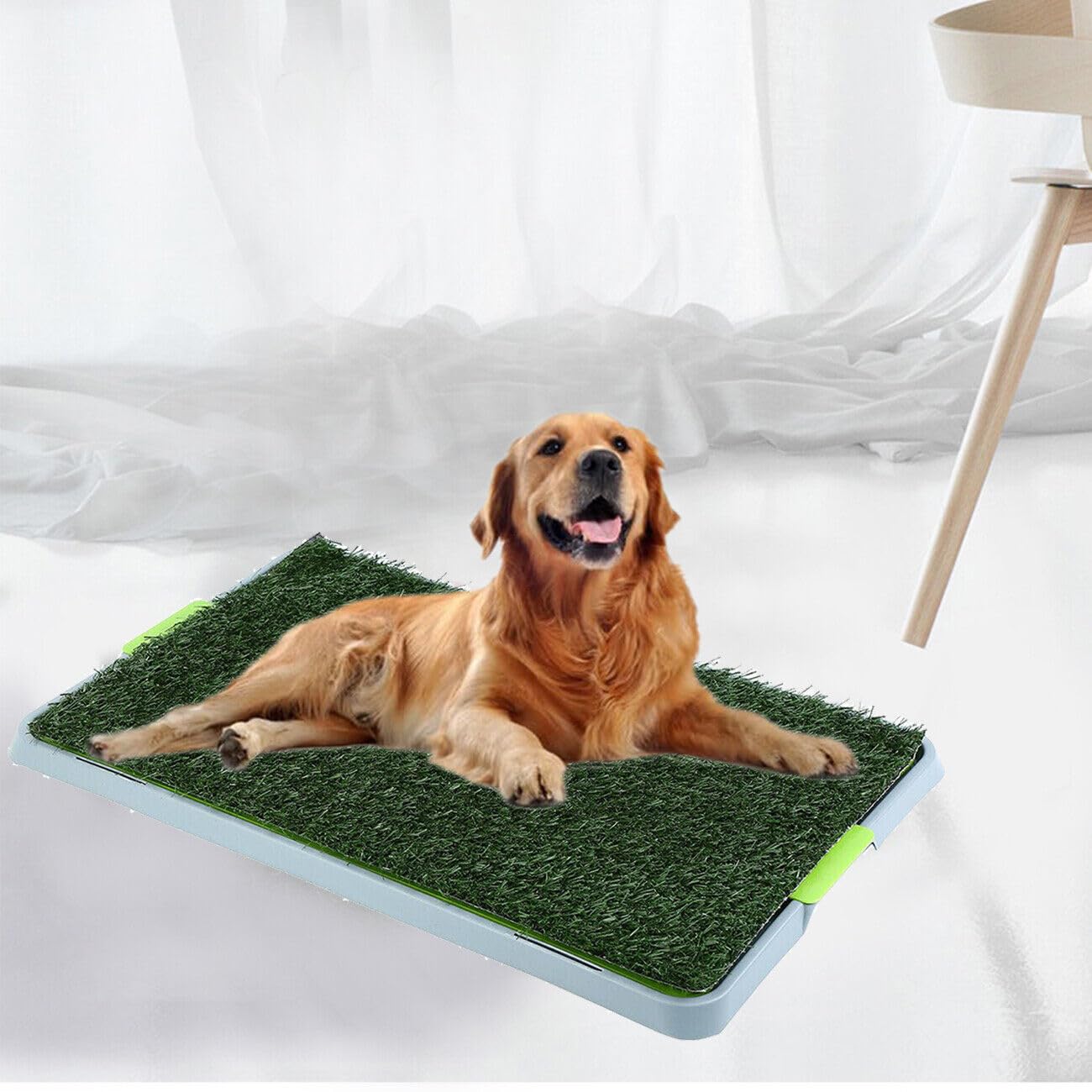Hundeklo Hundetoilette, Welpentoilette 67 x 42cm, Indoor Hundetöpfchen, Toilette Welpenklo Training Rasenmatte für Kleine Hunde Grosse Hunde ältere - Image 2